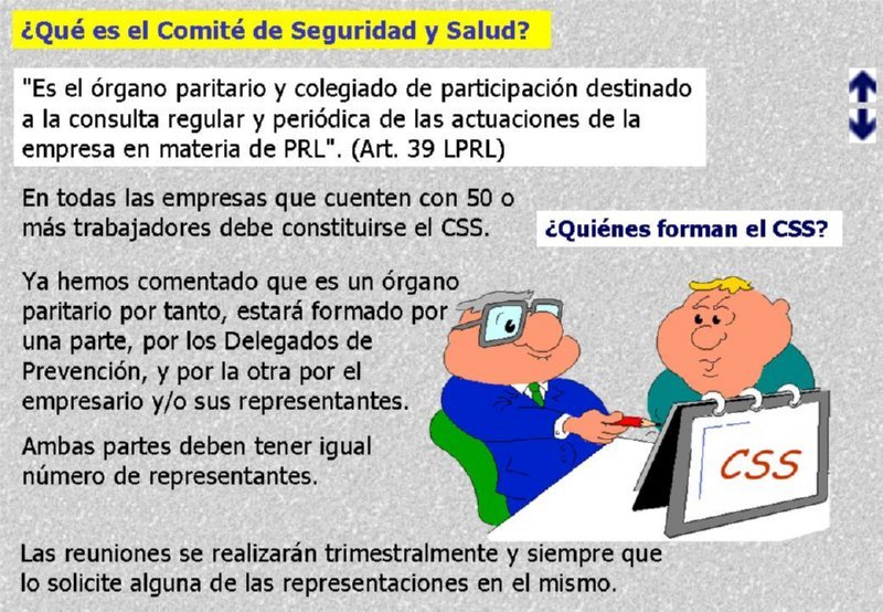 52 COMITE SEGURIDAD Y SALUD